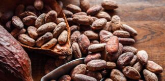 Café, cacao, piña y pitahaya lideran intenciones de compra por más de S/ 2.3 millones en Rueda de Negocios en San Martín