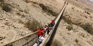 Puente Colgante Miculla – Tacna
