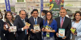 Perú podría alcanzar los US$ 15 mil millones de agroexportaciones en un corto plazo