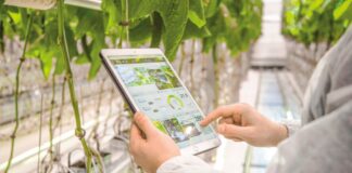 Agricultura: tecnología busca recuperar cultivos que hoy se pierden en la región