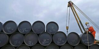 Argentina apunta al millón de barriles diarios: AOG 2025 marca un nuevo desafío para la industria petrolera