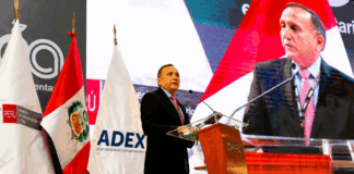 Agroexportaciones peruanas rumbo a los US$ 15 mil millones: el boom del campo no se detiene