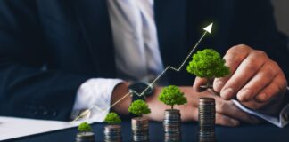 El impulso verde no se detiene: financiamiento sostenible crece en la región y gana terreno en Perú