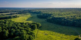 Arcadis impulsa la resiliencia climática y acompaña a la industria en su transición hacia una minería sostenible