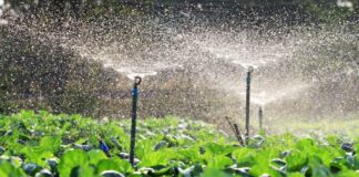 Midagri ejecutará diez proyectos de riego tecnificado en Arequipa para impulsar la productividad agrícola