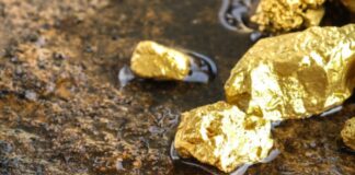 Oro retrocede tras tono cauteloso de la Fed y riesgo de shutdown en EE.UU.