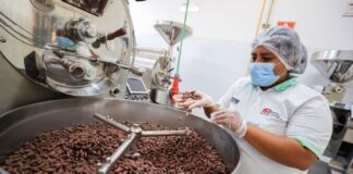 Producción de cacao y chocolate genera un valor agregado de más de S/ 886 millones