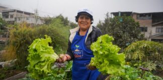 Conoce cómo los Huertos en Línea promueve la alimentación sostenible