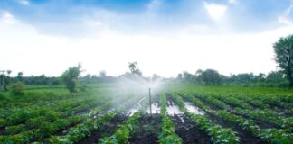 Investigación, Desarrollo e Innovación tema clave para la competitividad del país y del agro peruano