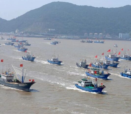 Pesca ilegal de pota amenaza la economía peruana: CCL exige decomisar flotas asiáticas y reforzar control marítimo