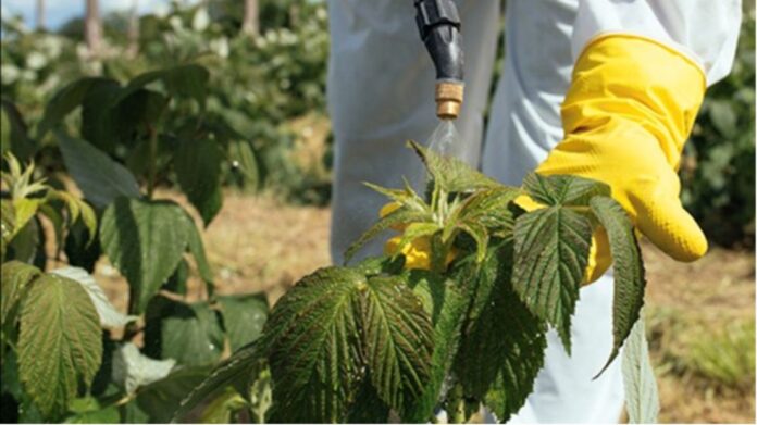 REVISTA ECONOMIA (8)