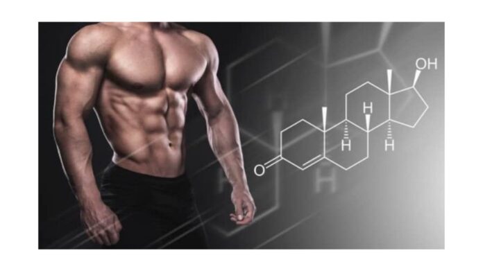 Copia de Imagen.jpg - 2025-11-21T151700.506