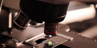 Traducción y exactitud en la ciencia global