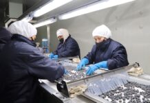 Exportaciones impulsan un crecimiento de 2% en empleos directos