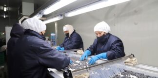 Exportaciones impulsan un crecimiento de 2% en empleos directos