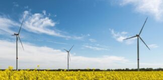 La industria del hidrógeno verde en la región de Magallanes podría generar hasta un 13% del H2V mundial