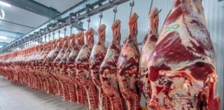 Un repunte que redefine el mapa exportador argentino
