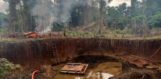 El avance del oro ilegal y el Reinfo vuelven a tensar la política minera en el Perú