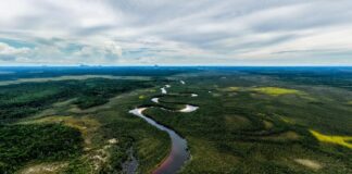 CAF destinará USD 40.000 millones en los próximos cinco años para impulsar el crecimiento verde