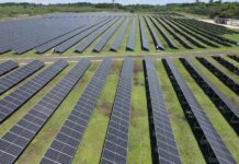 Argentina acelera inversiones solares y consolida su transición energética con nuevos megaproyectos
