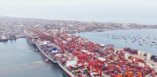 DP World moviliza el 60% de las exportaciones de palta del Perú a través del Puerto del Callao