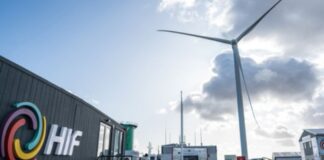 Hif Global será multada en Uruguay por tala ilegal pese a proyecto de megaplanta de hidrógeno verde