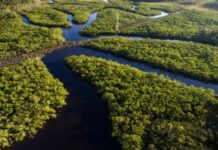 Colombia declara su Amazonía libre de petróleo y minería en medio del debate regional