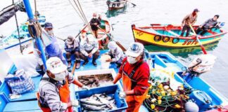 Sanipes capacita a 170 pescadores para garantizar productos hidrobiológicos seguros