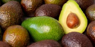 DP World concentra el 60% de las exportaciones de palta desde el Callao