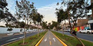 Un proyecto que reconfigura la movilidad en Lima Este