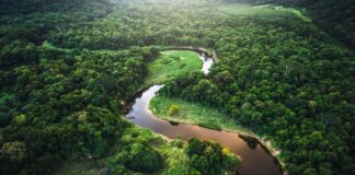 Arcadis reafirma su compromiso global con la sostenibilidad en la COP30
