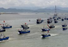 El Pacífico sur cambia de eje: la flota china desplaza rutas y Chile gana protagonismo