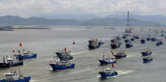 El Pacífico sur cambia de eje: la flota china desplaza rutas y Chile gana protagonismo