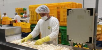 Número de empresas exportadoras peruanas crece 4,2% hasta septiembre 2025
