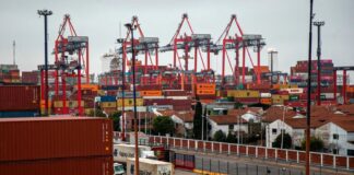 Argentina proyecta exportaciones récord de US$128.000 millones para 2033