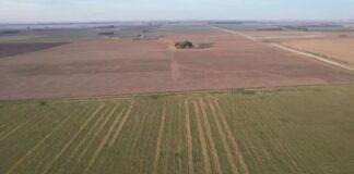 Argentina: venta de campos revoluciona la forma de medir el valor de la tierra