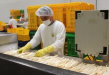 Exportadores llaman a garantizar estabilidad y competitividad frente a elecciones 2026