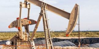 PERUPETRO reevalúa adjudicación del Lote VI tras caída de acuerdo con consorcio ganador