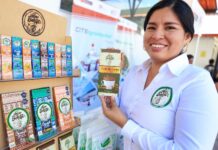 Número de Mipyme en Perú ascendió a 2.33 millones al cierre del 2024, alcanzando un crecimiento de 1.6 %