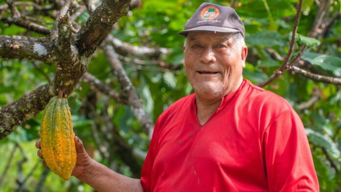 REVISTA ECONOMIA (36)