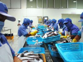 El impulso que está redefiniendo la competitividad del sector pesquero peruano