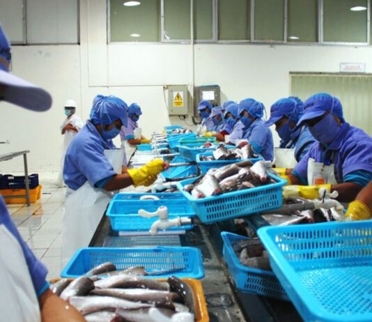 El impulso que está redefiniendo la competitividad del sector pesquero peruano