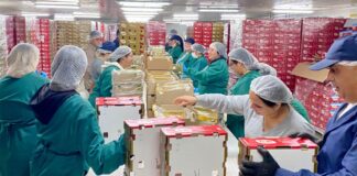 Infraestructura chilena de cerezas suma nuevo impulso con moderno packing