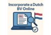 Cómo constituir una sociedad mercantil holandesa online: proceso paso a paso