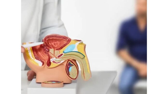 Copia de Imagen.jpg - 2025-12-15T133741.728