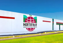 Hortifrut reporta pérdidas millonarias y anuncia cambios estratégicos en Perú