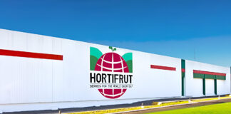 Hortifrut reporta pérdidas millonarias y anuncia cambios estratégicos en Perú