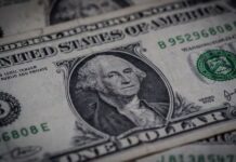 La disminución del precio del dólar desde un enfoque monetarista