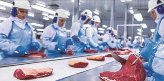 China impulsa récord histórico de exportaciones de carne colombiana