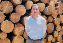 Alerta Forestal: El llamado a Kast para volver a potenciar las Pymes madereras